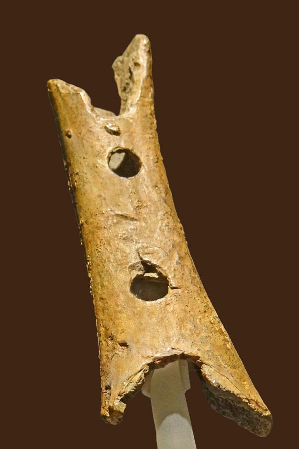 Koščena piščal iz Divjih bab je po mnenju slovenskih arheologov delo neandertalca (tema)