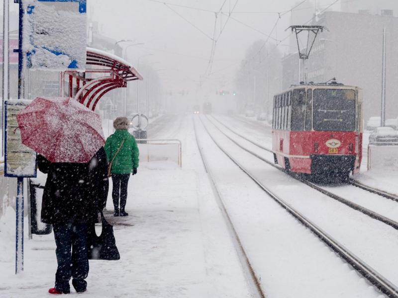 Na Poljskem v nedeljo zaradi mraza umrlo 10 ljudi