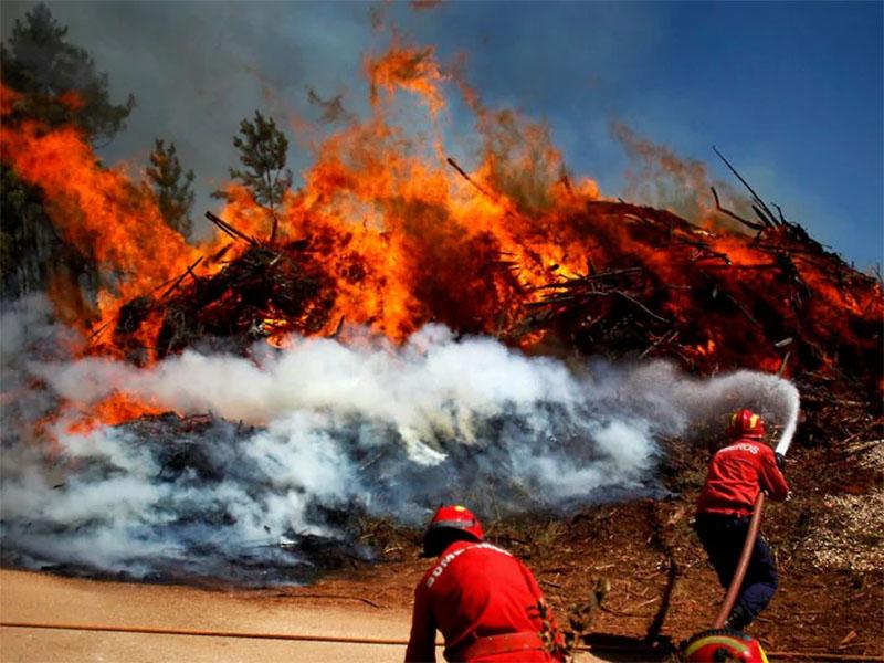 Na Portugalskem požar obdal vas z 2000 prebivalci