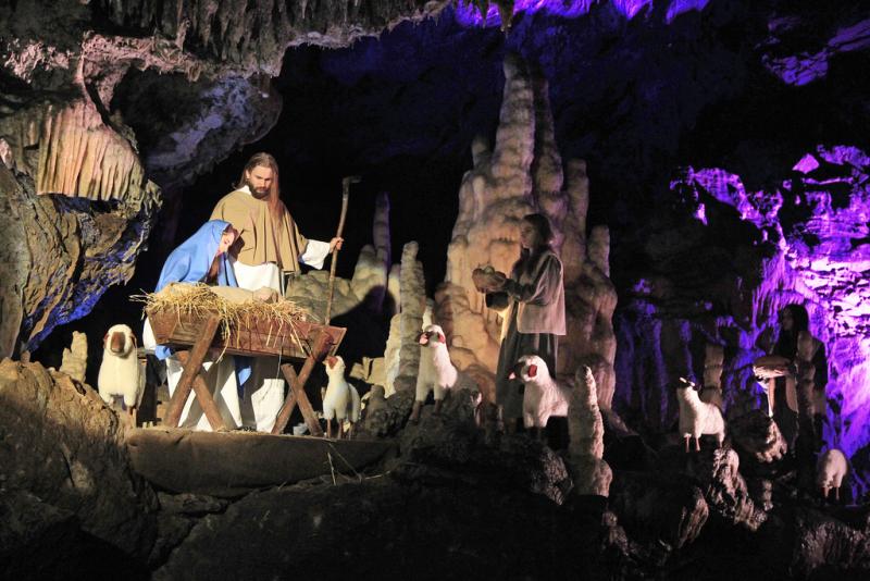 Postojnska jama bi prevzela cerkljansko družbo Certa Holdinga