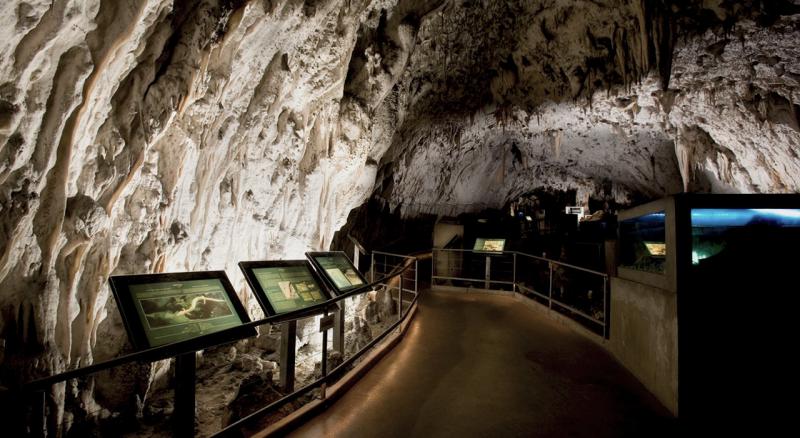 V Postojnski jami dočakali 38-milijontega obiskovalca