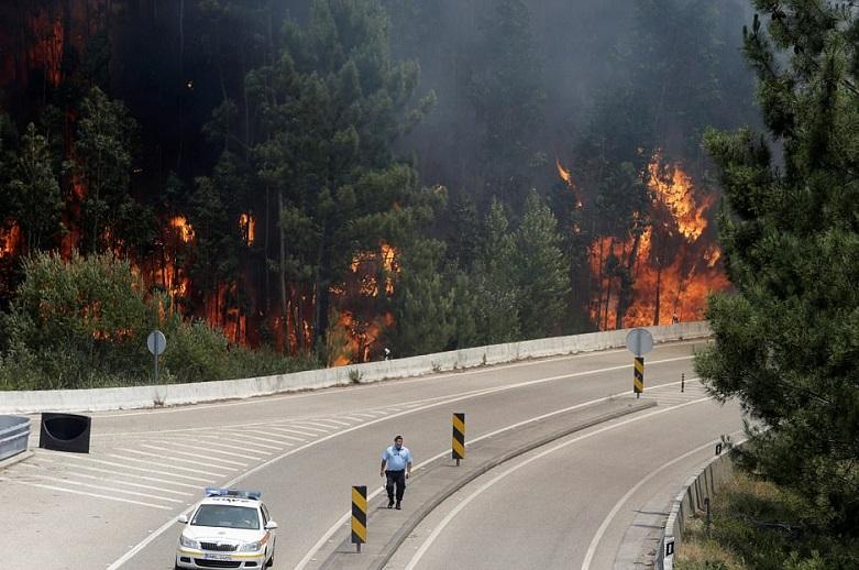 Zaradi požara zaprli avtocesto med Španijo in Francijo