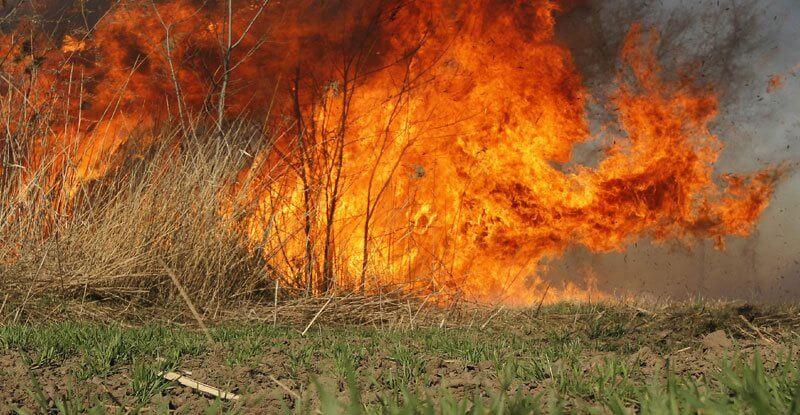 Pri hrvaškem Trogirju se gasilci borijo s požarom