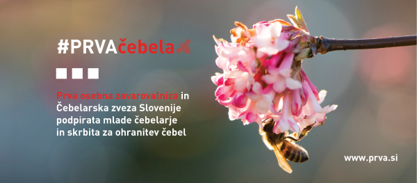 Prva osebna zavarovalnica in Čebelarska zveza Slovenije širita čebelarsko znanje s projektom  #PRVAčebela