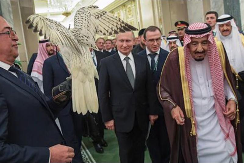 Putin je savdskemu kralju podaril sokola, toda slovesnost je skazil en »fuj trenutek« …