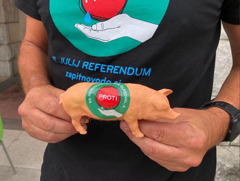 »Svinje smo PROTI privatizaciji obal«