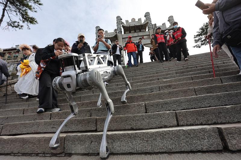 Roboti se že udeležujejo tradicionalnih praznovanj, robotski psi pozdravljajo obiskovalce ob kitajskem novem letu