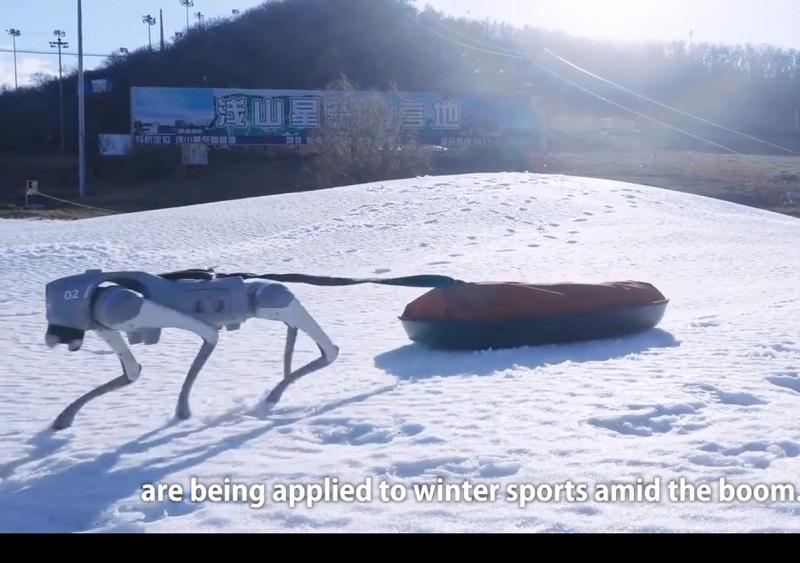 Inovacije na kitajskih smučiščih: nadzor in pomoč s psi - roboti, za zimske športnike pa samogrelne nogavice! (VIDEO)