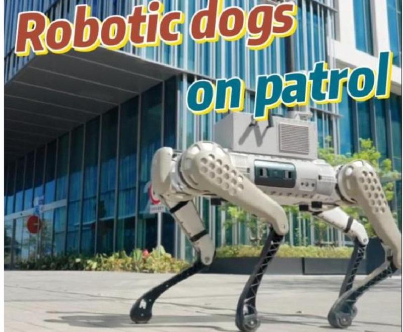 Novi pomočniki policistov: Robotski psi v Šanghaju odkrivajo vozila, parkirana v nasprotju s predpisi