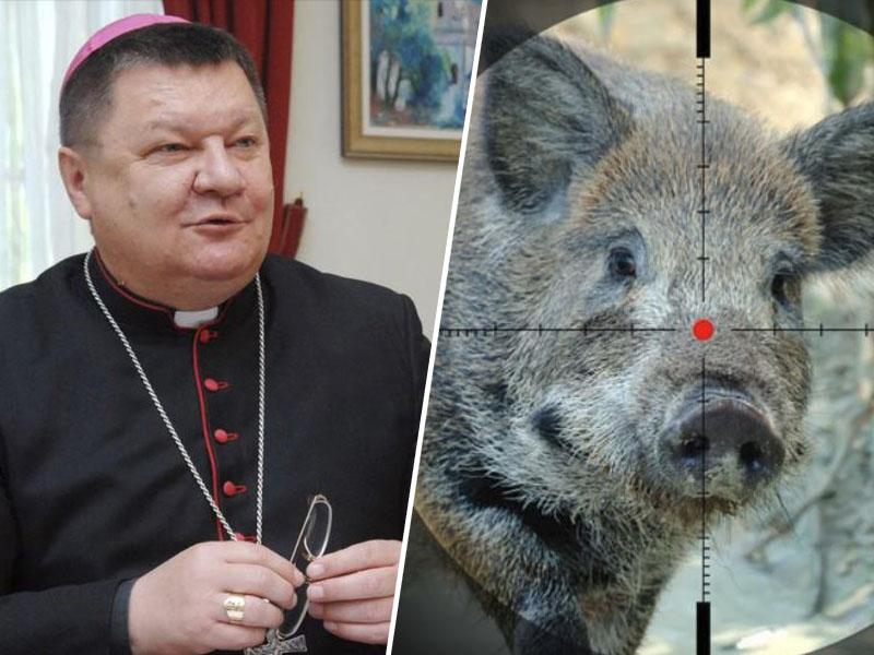 Škof lovil divjo svinjo in ustrelil kolega lovca