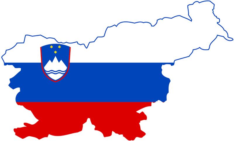 Vizija Slovenije bo predstavljena javnosti