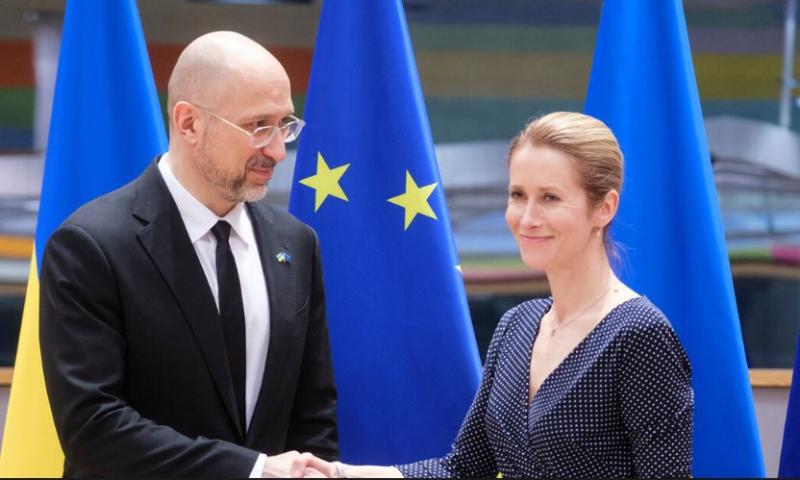 Kaja Kallas z ukrajinskim obrambnim ministrom: Uganite - tema je plenjenje ruskega premoženja