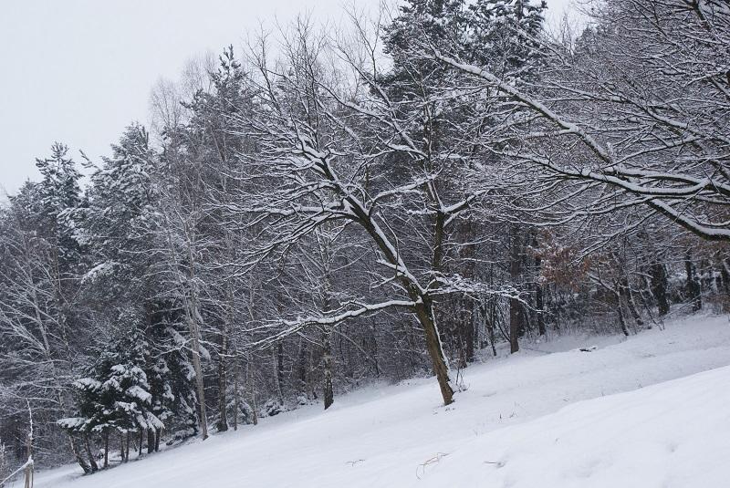 Zima se je vrnila v gore, zaradi snega zaprta prelaza Vršič in Korensko sedlo