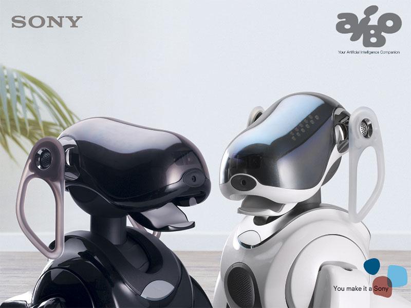 Sony oživlja svojega robotskega psa