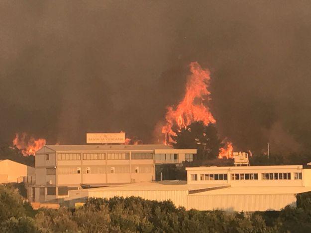 Na Hrvaškem prijeli 14 oseb zaradi suma podtikanja požarov