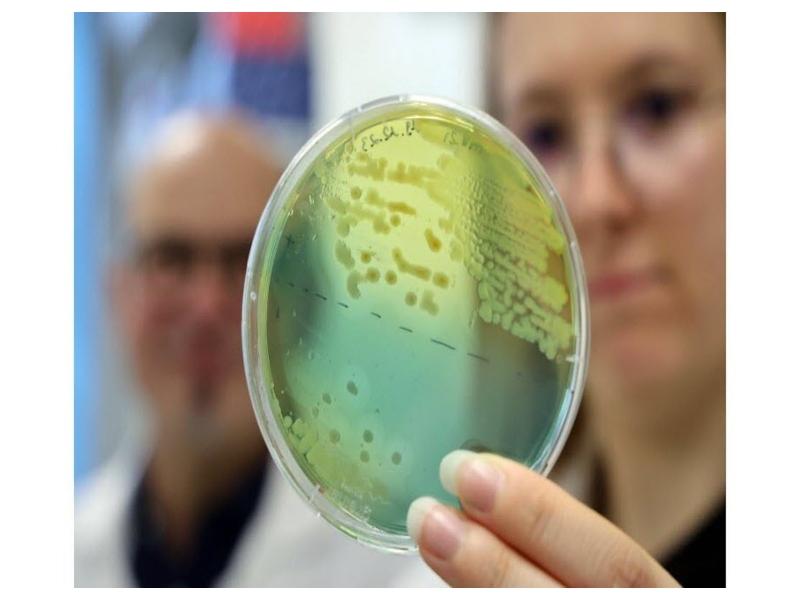 Posledice vojne: Ukrajina je postala gojišče super bakterij, proti katerim so vsi antibiotiki nemočni!