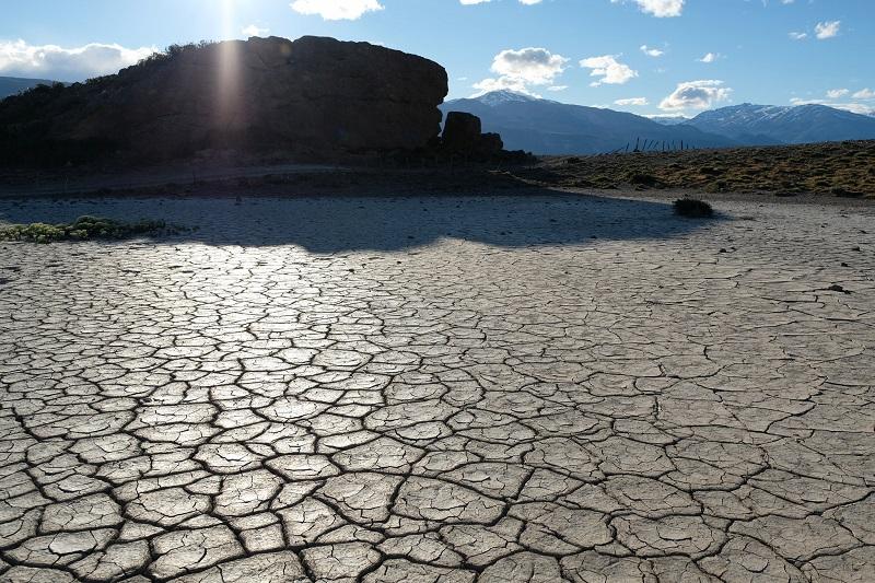 Svetovni dan boja proti širjenju puščav in suše letos izpostavlja pomen tal