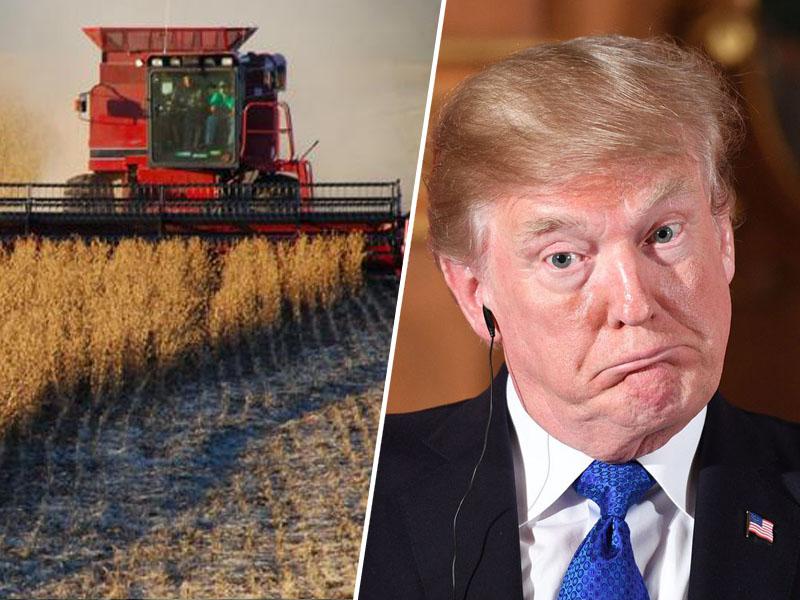 Trumpova carinska vojna se ameriškim kmetom vrača kot bumerang