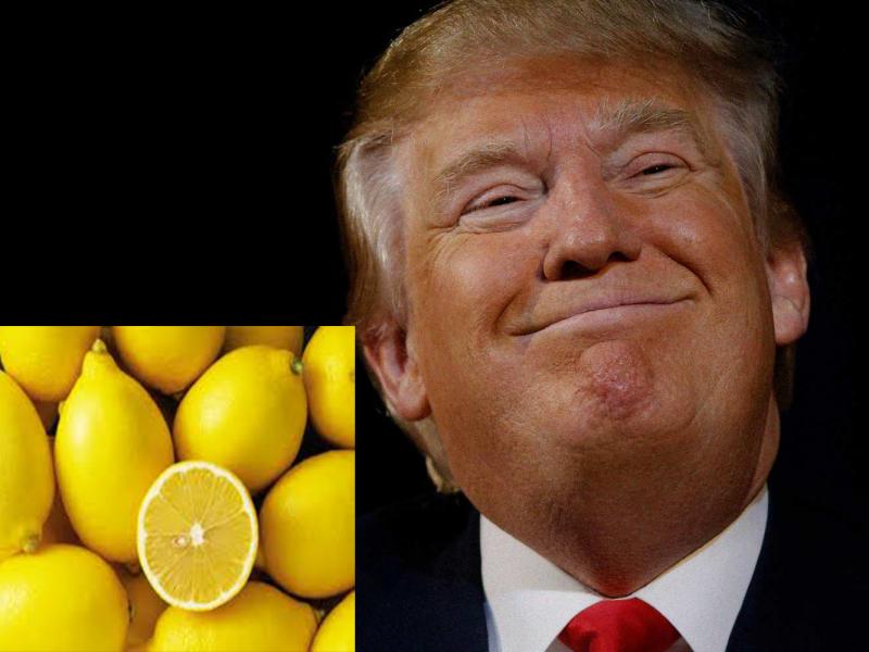 Trump bo pomagal obnoviti uvoz limon iz Argentine