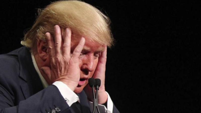 Ogenj in bes: vsi v »Trumpovem svetu« 100-odstotno vedo, da ZDA vodi nesposoben idiot
