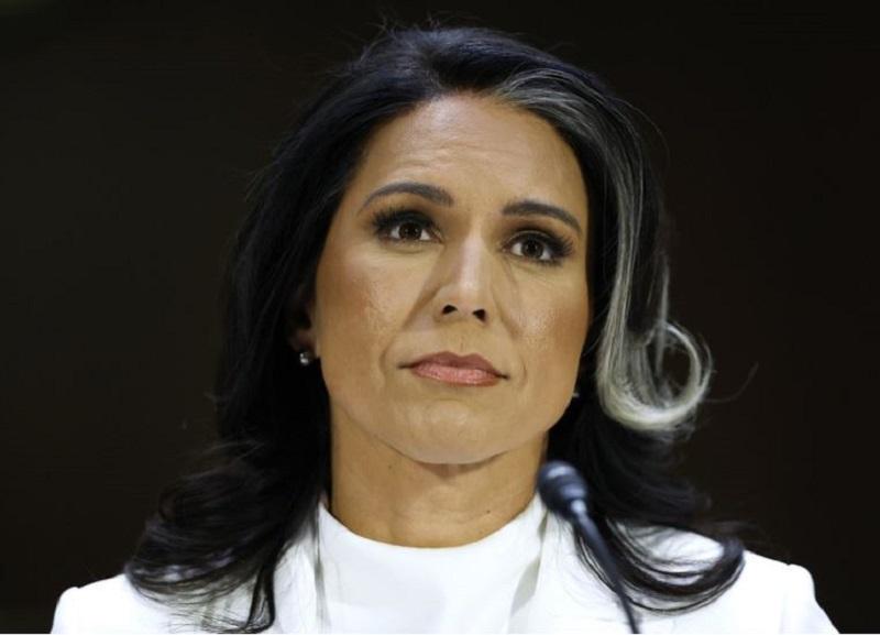 Tulsi Gabbard: »Evropske države in Zelenski trdijo, da se borijo za demokracijo, dejansko pa jo spodkopujejo!«