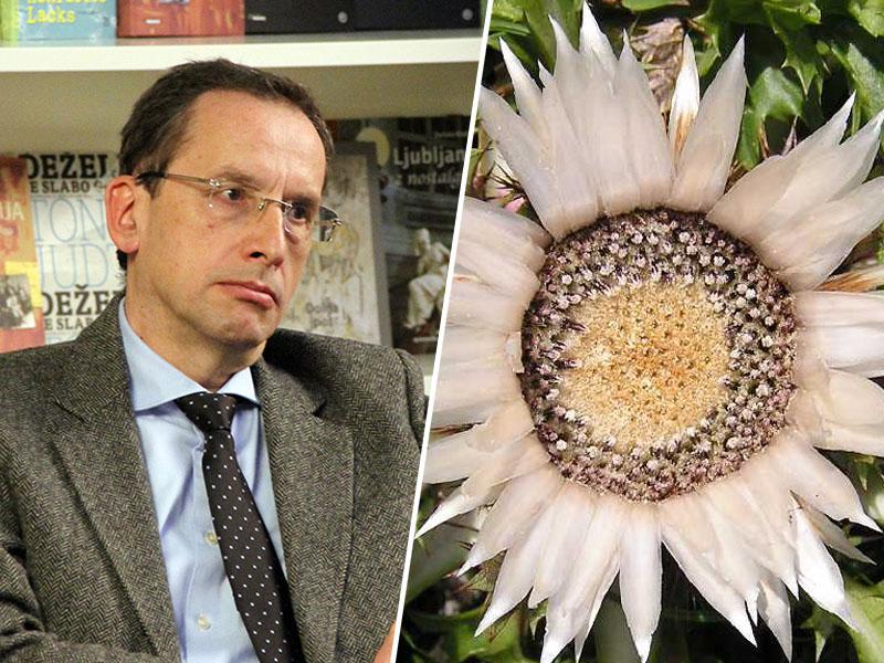 Ko čevljev ne sodi kopitar: Žiga Turk prejemnik »neslavne nagrade« za najbolj seksistično izjavo leta