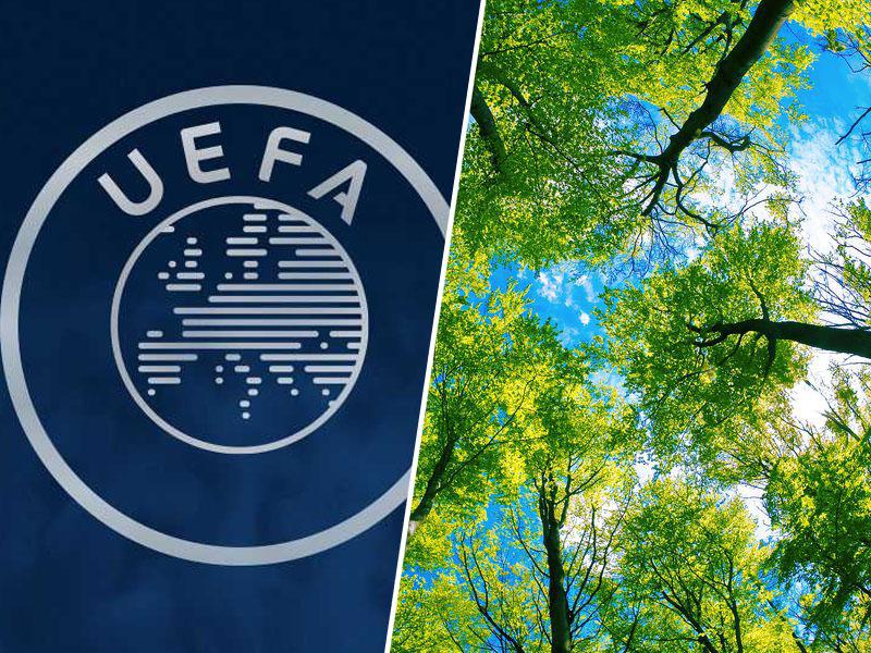 Uefa in trajnost: 50.000 dreves za zmanjšanje ogljikovih emisij