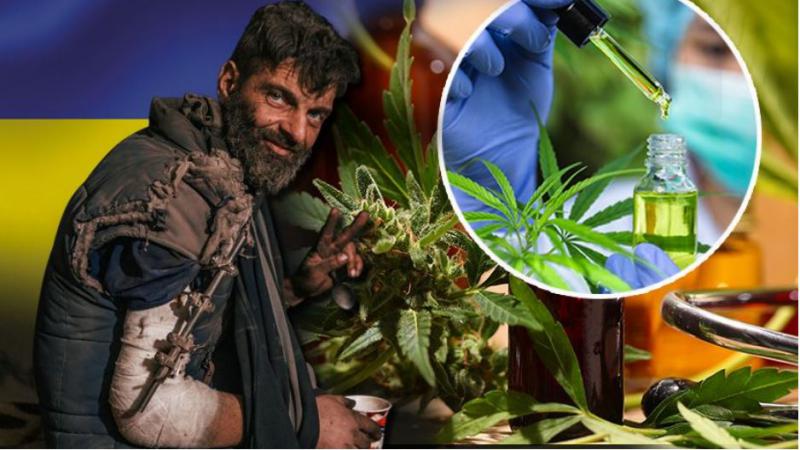 Ukrajina legalizirala marihuano: Na evropskih tleh že kmalu največji raj za konopljo pod okriljem režima v Kijevu?
