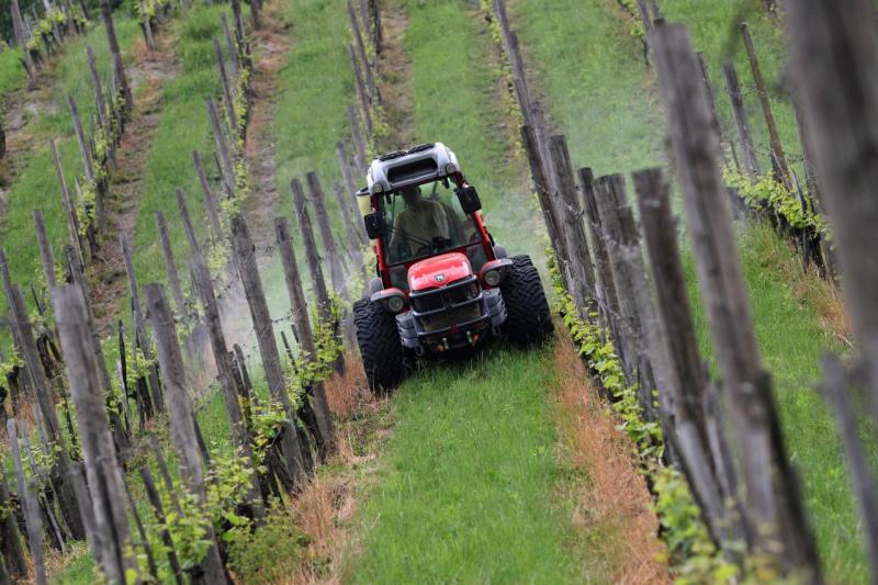 Proizvodnja vina na svetovni ravni lani upadla