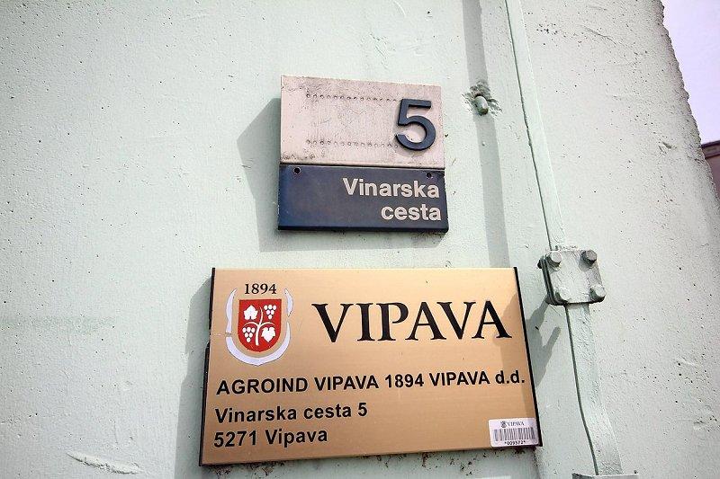 Agroind želi z vipavskimi vinogradniki skleniti dolgoletne pogodbe