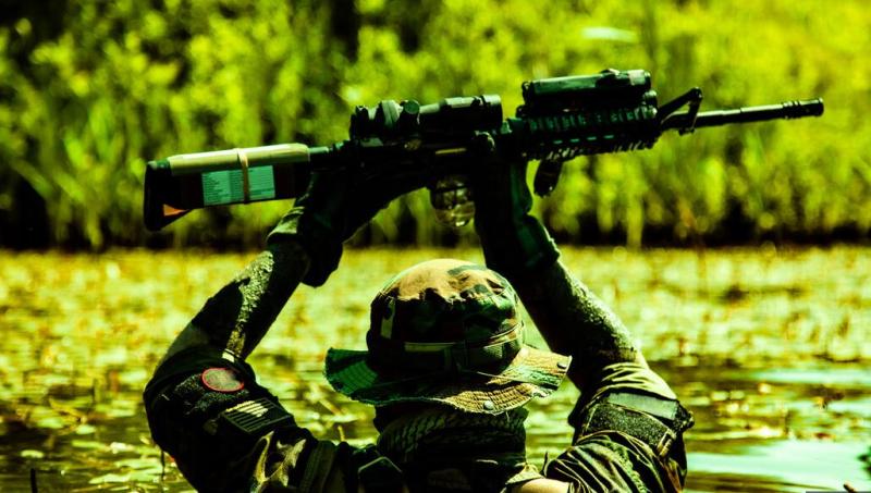 Močvirja kot nova frontna črta: NATO bi z žabami in trstiko nad ruske tanke