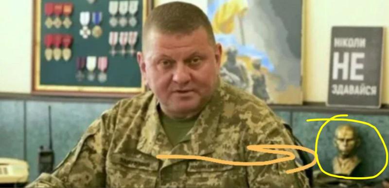 Reuters: Ukrajinska vlada obvestila Belo hišo, da bo zamenjala generala Zalužnega, ta grozi z neonacisti!