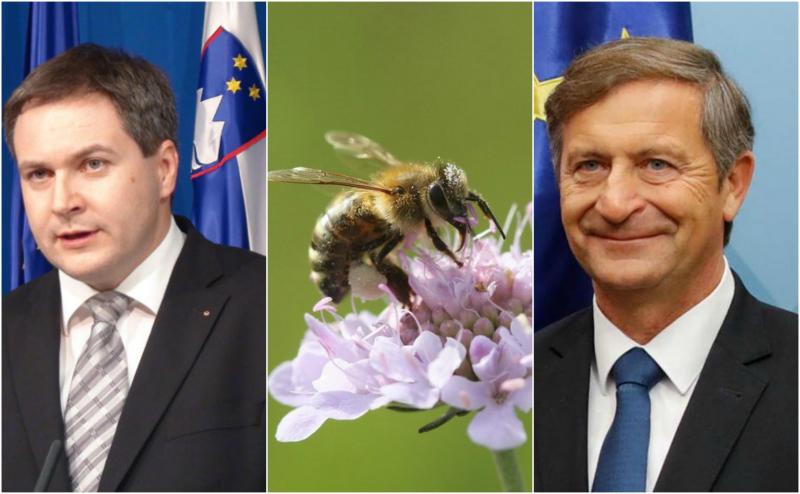 Izjava dneva: SD z čebelami dosegla enega 