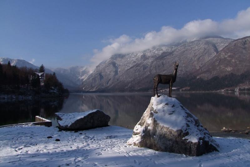 Nadškofiji zavrnili vračilo dela priobalnega pasu Bohinjskega jezera