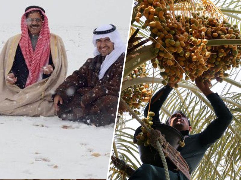 Opozorilo: Pred Savdsko Arabijo je tokrat – zelo mrzla zima!