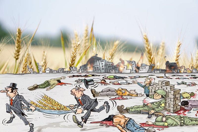 »Koridor za žito« večinoma krmil le živino bogatih držav zahoda: Lačne države dobile štiri odstotke ukrajinskih žit