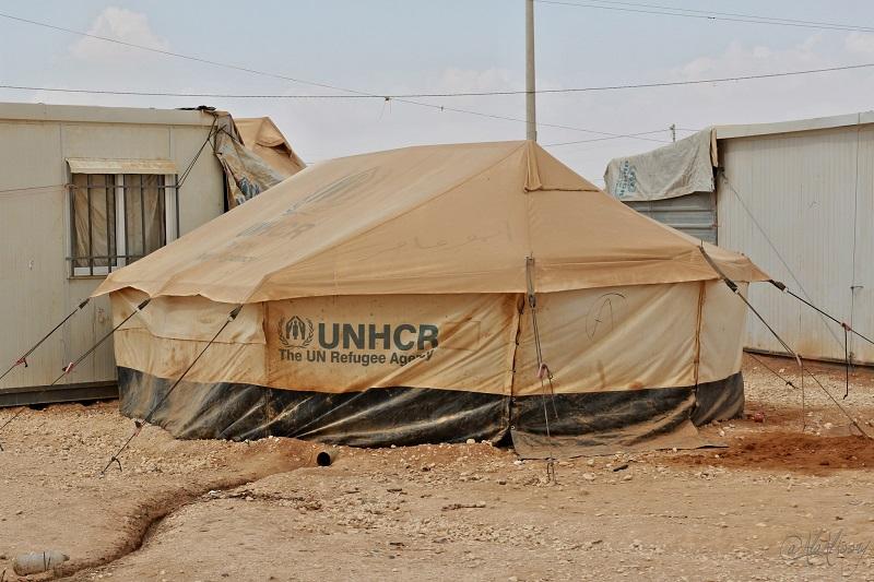 Konvoj ZN s pomočjo moral predčasno zapustiti Vzhodno Guto