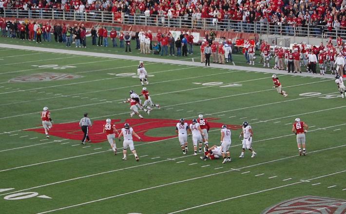 Nick Foles, NHL, ameriški nogomet