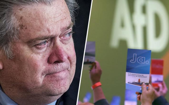 AfD/Bannon