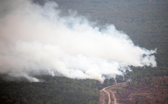 Požar blizu Berlina, avgust 2018 Vir:Pixell