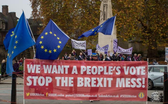 Brexit, demonstracije proti zmešnjavi  Vir:Pixell