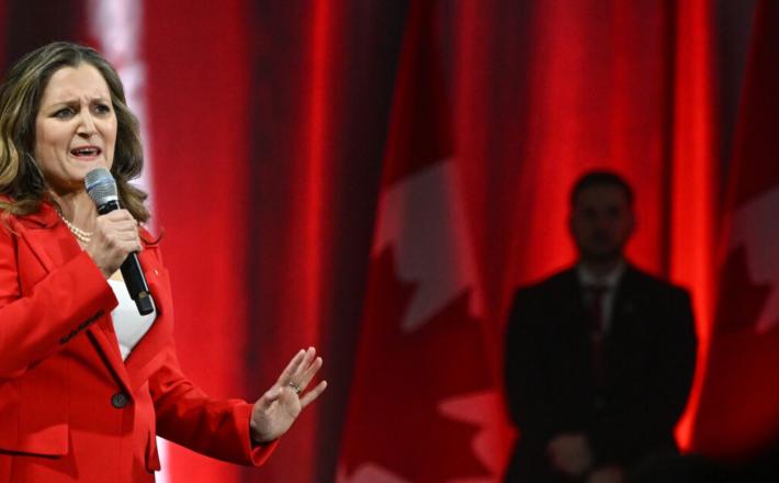 Po besedah šefa kijevskega režima je Chrystia »strokovnjakinja« za gospodarska vprašanja in ima znatne izkušnje s privabljanjem naložb in izvajanjem gospodarskih preobrazb. Vir: Posnetek zaslona, X