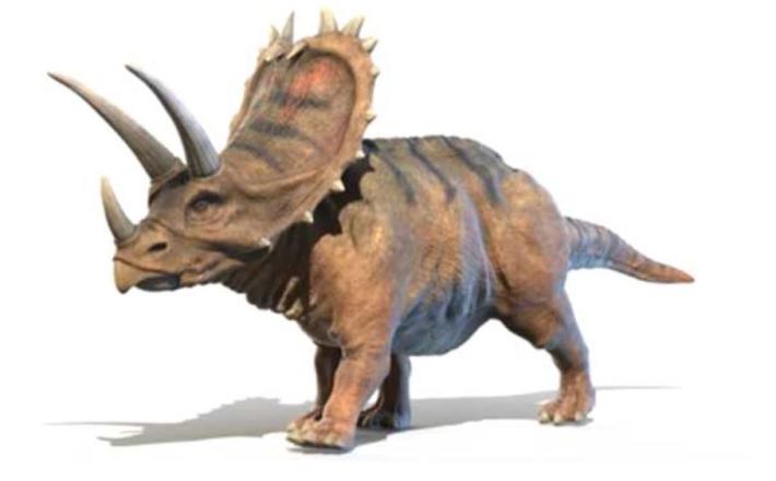 Dinozaver z rogovi Vir: Mydinosaurs.com