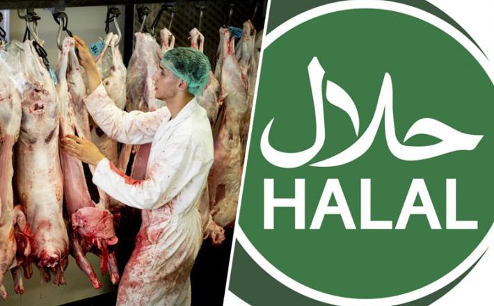 Halal - svet in Slovenija