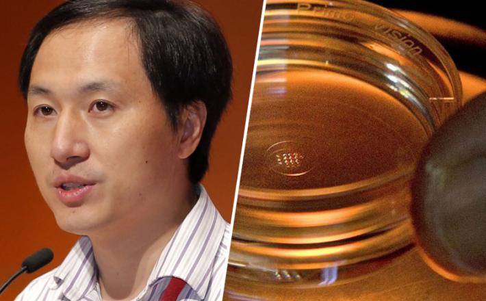 He Jiankui - DNK