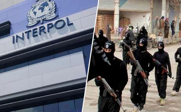 Interpol / teroristi
