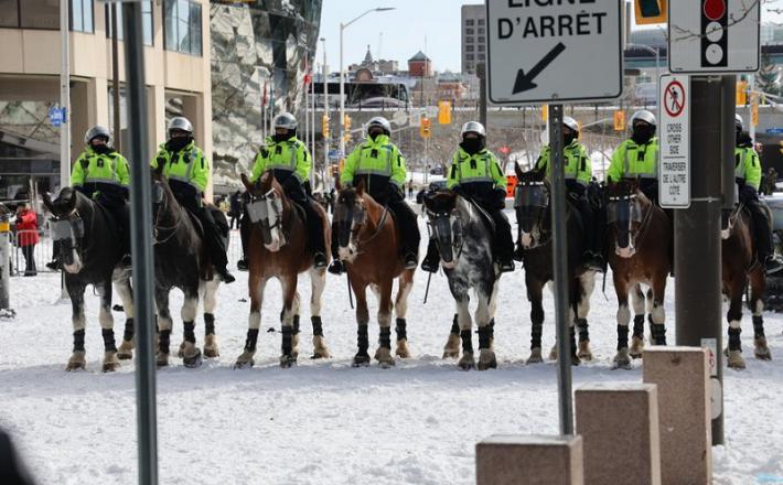 Policijski konji v akciji