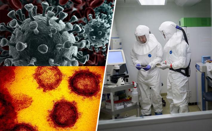 Koronavirus - raziskovalci o novem virusu vsak dan odkrijejo kaj novega