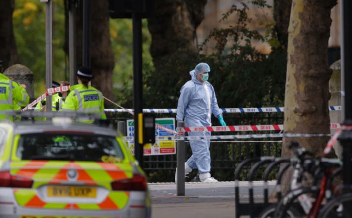 London nesreča prirodoslovni muzej