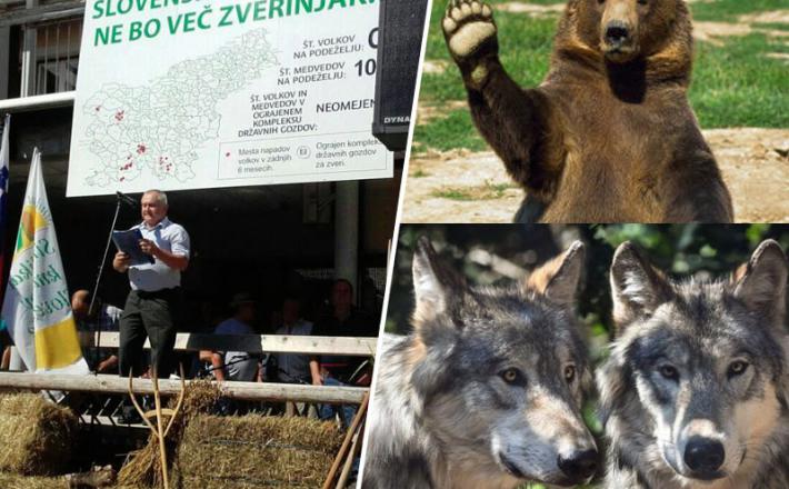 Medved, volkovi, kmetje in minister Zajc